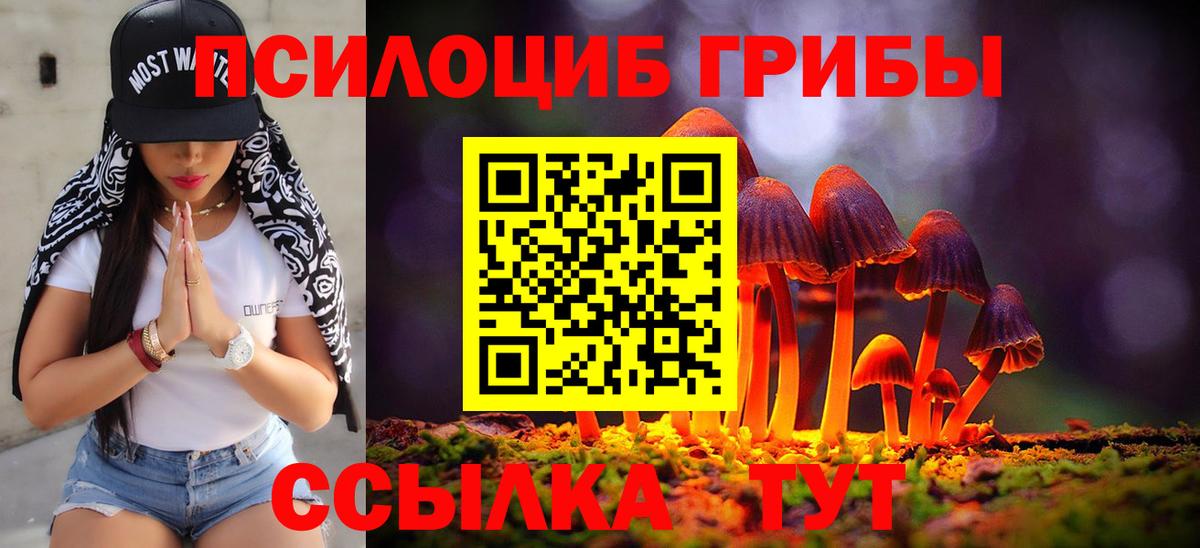 Псилоцибиновые грибы MAGIC MUSHROOMS  Галлюциногенные грибы Psilocybine cubensis  Вход с VPN  Кызыл 