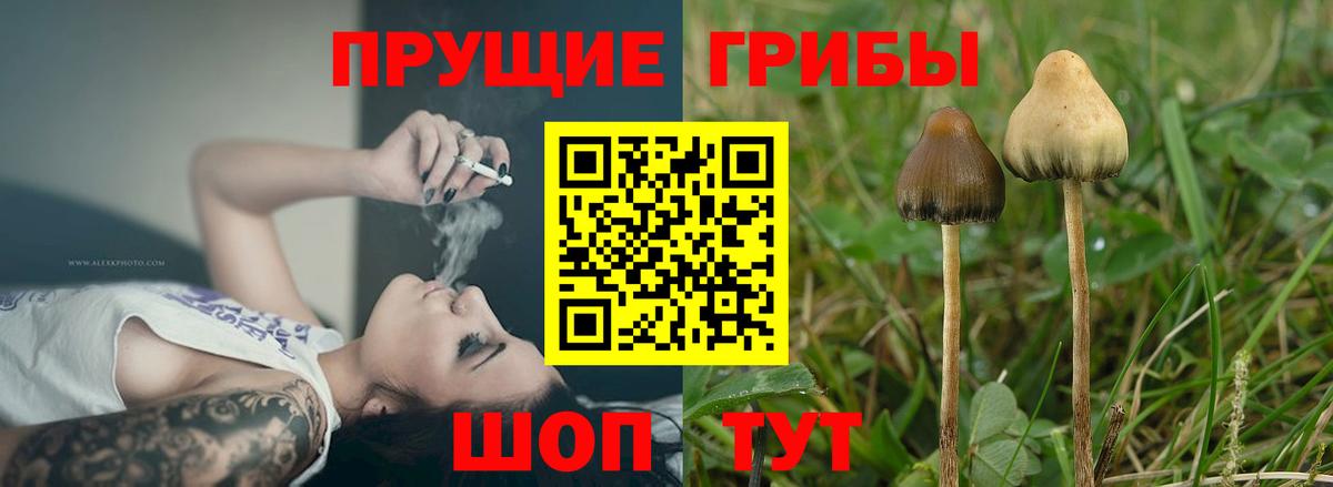 Галлюциногенные грибы мицелий Кызыл